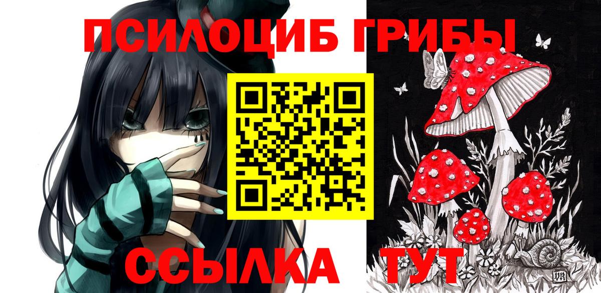 Озёры  Псилоцибиновые грибы Magic Shrooms  купить закладку  Вход с VPN 