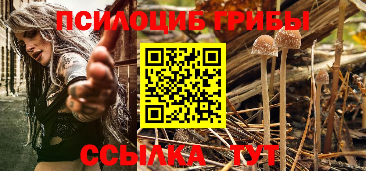 Галлюциногенные грибы GOLDEN TEACHER Озёры
